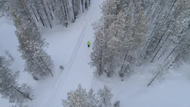 Antenn Oigenkännlig Person Vada Genom Färsk Mjuk Snö Vita Snöiga — Stockvideo