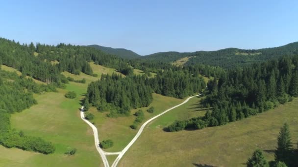 在田园诗般的偏远乡村风景中飞过风景秀丽的乡道 穿过美丽的绿色山谷的砾石路 周围环绕着森林的丘陵和阳光明媚的山坡 上面覆盖着云杉树 — 图库视频影像