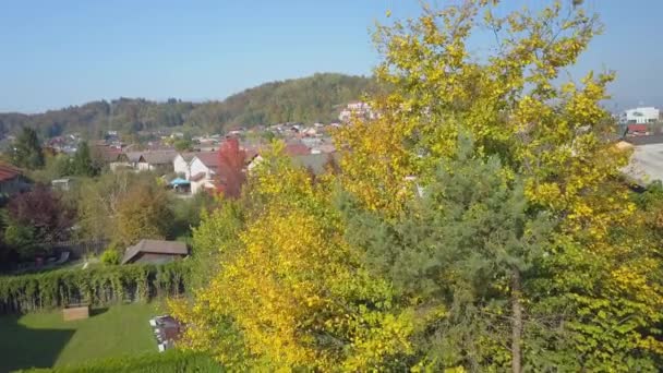 Lucht Vliegen Tuin Boom Met Gele Herfst Bladeren Onthullen Idyllische — Stockvideo