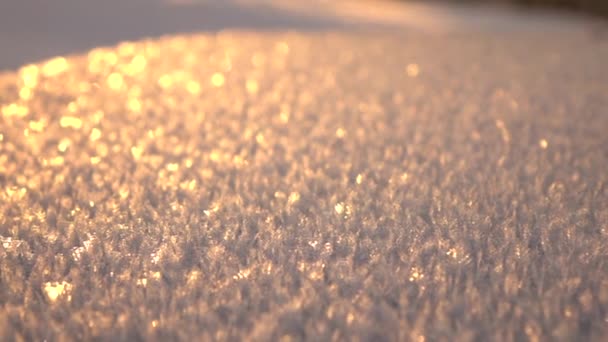 Close Dof Cristaux Eau Gelés Sur Couverture Blanche Enneigée Scintillant — Video