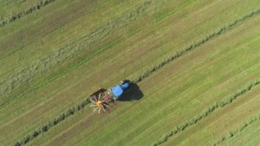 Havadan Yukarıdan Aşağıya Çim tarlasında çalışan mavi traktörün üzerinde uçan, sonbaharın sonlarında kuru saman çeviren. Çiftçi güneşli sonbaharda çayır tarım arazisi üzerinde çalışıyor. Tarım makineleri çalışma, kuru ot tornalama