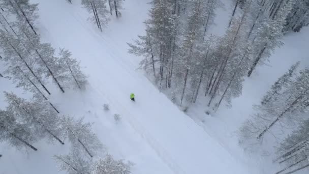 神秘的な冷ややかなスプルースの森の白い雪の田舎道に新鮮な柔らかい雪の中を歩く認識できない人 冬のワンダーランドの森の中を歩く男 フィンランドの荒野 — ストック動画