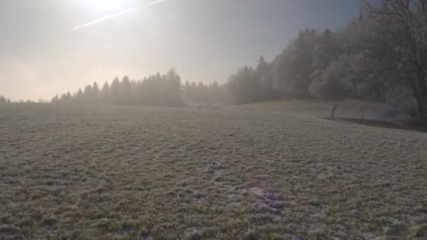 Luftaufnahme Tiefflug Über Gefrorene Nebel Gehüllte Wiesenfelder Einem Sonnigen Wintermorgen — Stockvideo
