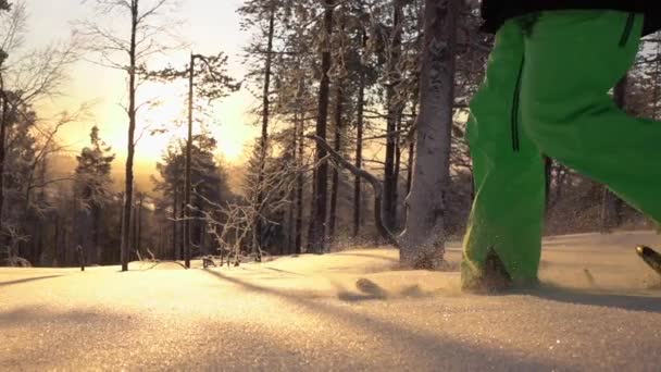 Slow Motion Närbild Snöskor Genom Vacker Snöig Natur Härlig Solig — Stockvideo