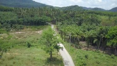 Anteni: Uçan arkasında bir genç kadın explorer onu sürme motosiklet derin yemyeşil tropikal orman. Uzak asfalt yol boyunca bir doğal gezi gezisinde kadın harika yaz tatile gidiyor.