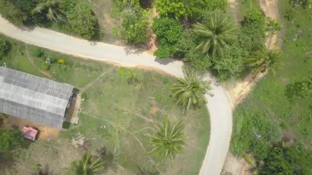 自上而下 女旅行者探索风景秀丽的热带道路 通过泰国村庄 无法辨认的探险家在假期骑她的摩托车沿着空的沥青路在一个阳光明媚的夏日 — 图库视频影像