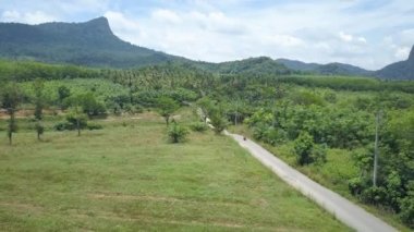 Hava: Maceracı kaşif güneşli bir yaz gününde yemyeşil tropikal yağmur ormanlarından onu scooter sürmek. Serin tatil bilinmeyen kadın güzel ormanda doğal bir motosiklet yol gezisi gider.