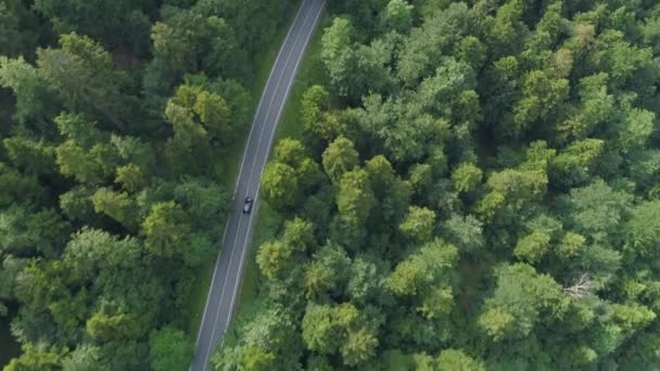 Antenn Toppen Ner Mörka Färgade Bil Kör Ner Asfalterad Väg — Stockvideo