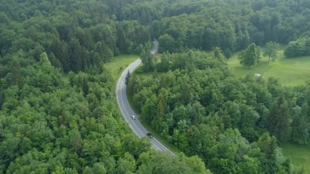 Anténa Létání Nad Automobily Asfaltové Silnici Přes Les Slovinsku Filmový — Stock video