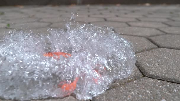 Slow Motion Close Orange Rubber Balloon Filled Water Splatters Falling — Stock Video