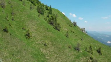 Slovenya 'nın güneşli Alpleri' ndeki tepenin tepesindeki bir bankta oturan kadının üzerinde ve dik bir çimli tepe boyunca uçmak. Genç bayan yürüyüşçüyü ve küçük siyah köpeğini saran görkemli dağlar