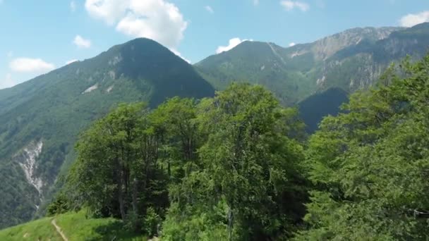 日当たりの良い農村スロベニアで覆われた山々の上を飛んでいます 完璧な夏の日にアルプスの雄大な山脈の息をのむような景色 見事な険しい高山性 — ストック動画