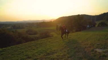 Slow Motion, Aerial: Tasasız Kafkas kız yaz akşamları kahverengi atının üstünde dörtnala koşar. Altın ışıklı gündoğumunda Slovenya kırsalında at sırtında gezen mutlu genç kadın.