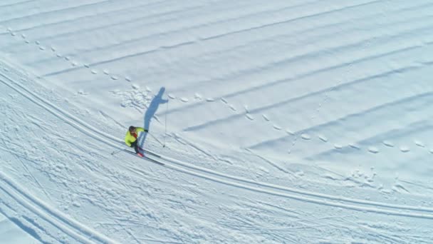 Aerial Top Aktivní Žena Lyžující Běžkách Podél Tratí Velké Zasněžené — Stock video