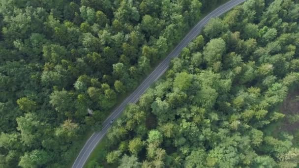 Antenne Von Oben Nach Unten Hoch Über Einem Auto Das — Stockvideo