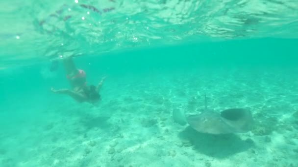 Slow Motion Underwater Young Female Tourist Holiday Dives Turquoise Ocean — Stock Video