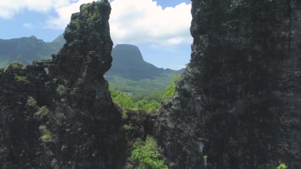 美しい日当たりの良いムーア フランス領ポリネシアの高くそびえる山々を覆う熱帯の緑の息をのむようなショット 鮮やかなエキゾチックな緑で覆われた背の高い岩の丘を飛び越える — ストック動画