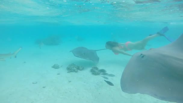 Moción Lenta Agua Superior Chica Bikini Buceando Explorando Impresionante Océano — Vídeos de Stock