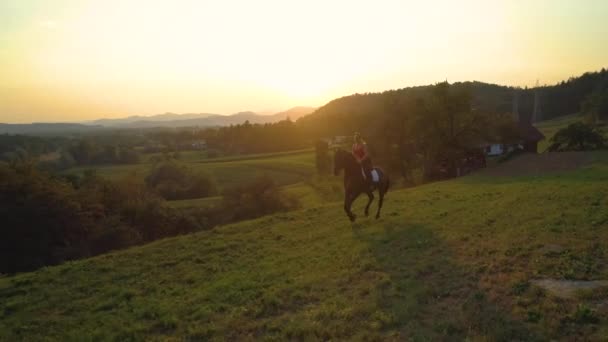 SLOW MOTION, AÉRIAL : Fille blanche insouciante galope sur son cheval brun le soir d'été. Joyeux jeune femme à cheval à travers la campagne slovène pittoresque au lever du soleil doré .