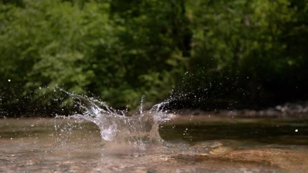 Αργή Κίνηση Κοντινό Πλάνο Brown Ροκ Συντρίβεται Στο Κρυστάλλινο Ποτάμι — Αρχείο Βίντεο