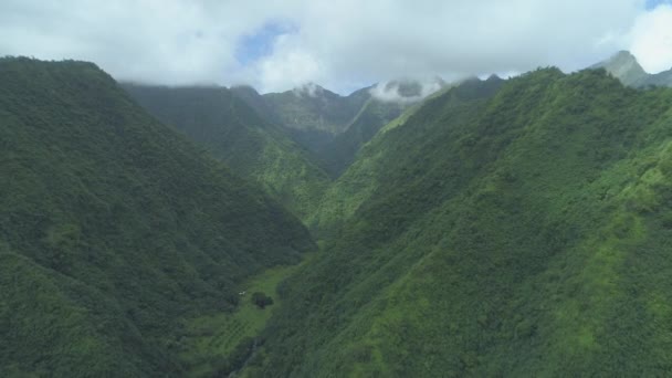 俯瞰热带森林覆盖的高山 俯瞰着异国他乡中心空旷的山谷 令人叹为观止 在法属波利尼西亚一个壮观的峡谷上空飞行 — 图库视频影像