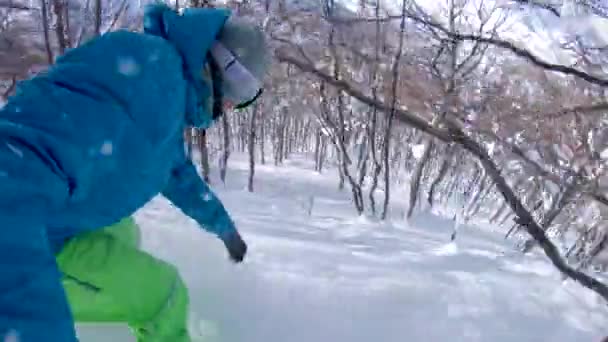 Cavaleiro Esculpir Entre Árvores Perigosas Neve Recém Caída Seu Snowboard — Vídeo de Stock