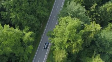 Anteni, üst aşağı: Turist kırsal kesimde pastoral koyu yeşil orman rahatlatıcı bir sürücü üzerinde. Büyük ormanın güzel Slovenya çalışan boş beton yolun aşağı araba araba.