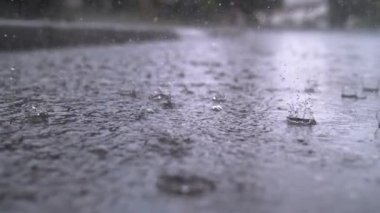 Sonbahar yağmuru damlaları asfalttaki büyük su birikintisine dökülüyor, sokakları sel basıyor. Yağmur mevsiminde sağanak yağmur nedeniyle yollar taşar. Su altındaki yola düşen yağmur damlaları