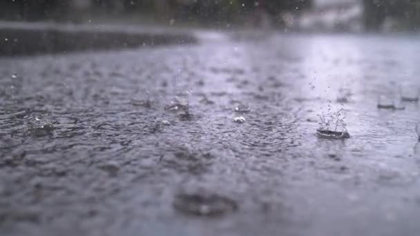 雨 水たまりストック動画 ロイヤリティフリー雨 水たまり動画 Depositphotos 雨 水たまりストック動画 ロイヤリティフリー雨 水たまり動画 Depositphotos