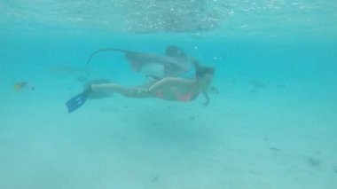 Slow Motion, Sualtı: Bikini giymiş neşeli bir kadın mükemmel turkuaz okyanusta dost canlısı vahşi yaşamla dalıyor. Fransız Polinezyası 'nda vatozlarla ve köpekbalıklarıyla yüzen mutlu turistin muhteşem görüntüsü..