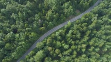 Aerial, Top Down, Hyperlapse: Slovenya 'da boş bir orman yolu boyunca koyu renkli araba sürüyor. Araba asfalt bir yolda hızla ilerliyor. Cennet kırsalından geçiyor. Ormandan geçen arabanın sinematik görüntüsü..