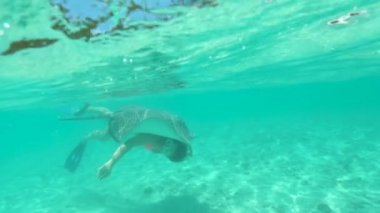 Slow Motion, Sualtı: Meraklı vatoz yaz tatili boyunca zümrüt denizde dalış yapan dişi turist üzerinde yüzer. Turkuaz okyanusu keşfeden genç bir kadına yakın yüzen neşeli deniz ışınları..