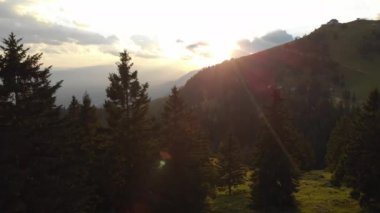 Anteni, Lens Flare: altın güneş ışınları Parlatıcı pitoresk Slovence dağlarda uzun boylu Ladin ağaçlarında akşam. Nefes kesen sabah güneşin geniş yeşil peyzaj manzaralı uçan atış.