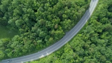 Aerial, Top Down: Slovenya 'da manzaralı bir kır yolunun uzun bir virajında siyah bir arabanın üzerinde uçmak. Muhteşem koyu yeşil ormanda, boş asfalt yolu boyunca giden bir turist arabası..