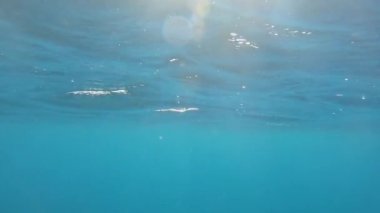 Slow Motion, Sualtı, Mercek Fişeği: Tropikal güneş ışınları nefes kesici turkuaz denizin yüzeyinde parlar. Pasifik Okyanusu 'nun güneşli bir günde parıldayan camsı yüzeyinin muhteşem görüntüsü..