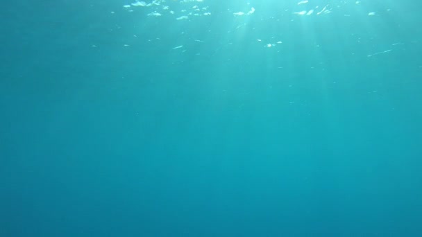 Slow Motion Underwater Jasne Promienie Słoneczne Lśniące Przez Spokojną Krystalicznie — Wideo stockowe