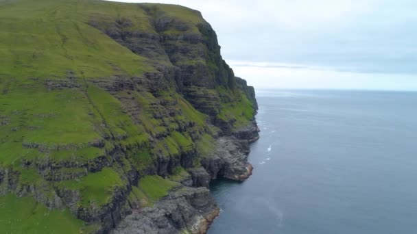 Aerial Towering Grassy Cliff Facing Endless Blue Ocean Tranquil Cloudy — Stock Video