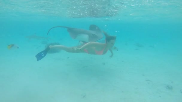 Moción Lenta Agua Superior Mujer Alegre Bikini Buceando Con Vida — Vídeo de stock