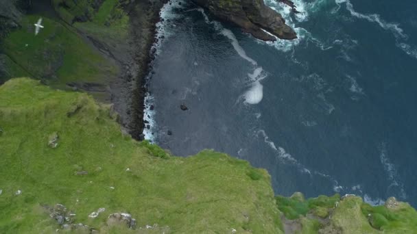 Aerial Unknown Woman Stand Edge Cliff Observes Seaside Grassy Mountain — Stock Video