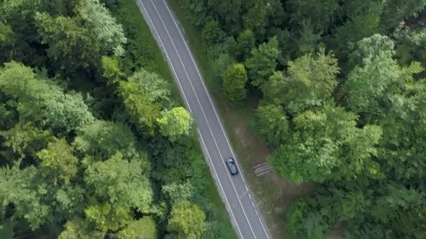 Aerial Top Flying Car Cruising Country Road Running Tranquil Forest — Stock Video