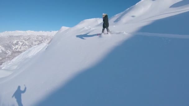 Seguimento Snowboarder Fêmea Que Esculpe Neve Fresca Alpes Wintry Menina — Vídeo de Stock
