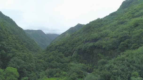 沿着一条流经热带雨林和法属波利尼西亚偏远地区令人叹为观止的高山的白水河流飞行 雾蒙蒙的小丛林小河的奇景 — 图库视频影像