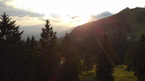 Antenne Lens Flare Golden Avond Zonnestralen Schijnen Vuren Bomen Pittoreske — Stockvideo