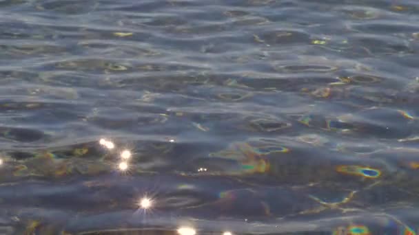 Lent Motion Fermer Eau Calme Ruisseau Montagne Brille Sous Soleil — Video