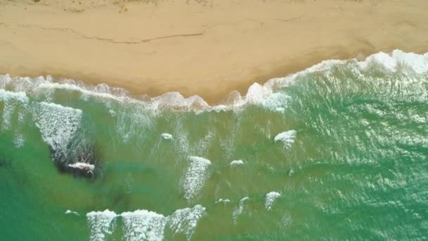 AERIAL, TOP DOWN: Flying above an empty brown sand beach and the beautiful emerald ocean waves. Spectacular shot of a remote shore on idyllic Sardinia in the hot summer. Picturesque shoreline and sea. — Stock Footage Aerial Top Flying Empty Brown Sand Beach Beautiful Emerald Ocean Royalty Free Stock Footage