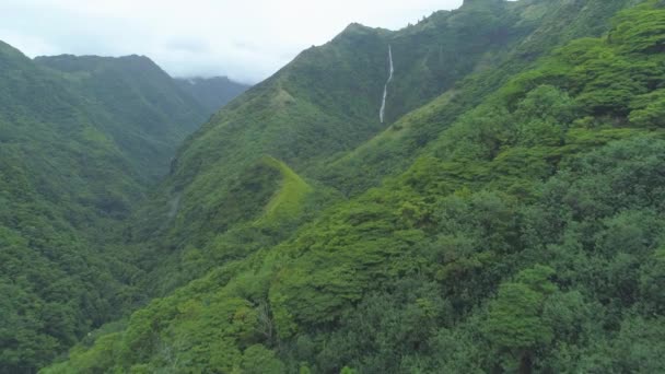 一条小河流过热带热带雨林覆盖的奇异岛屿上一座陡峭的山下 塔希提岛一条小河从布满茂密丛林的山上流下的壮观的空中景象 — 图库视频影像