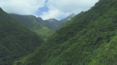 Uzak, egzotik bir adada, nefes kesici yeşil bir vadinin üzerinde uçuyor. Dik dağlar güneşli Fransız Polinezyası 'nda yoğun tropikal yağmur ormanlarıyla kaplıdır. Nefes kesici dağ manzarası.