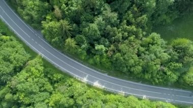Anteni, üst aşağı: Uçan koyu yeşil ormanın içinden bir boş asfalt yolun uzun bir eğri boyunca onların motosiklet sürme kişi yukarıda. Kırsal üzerinden motosiklet Binme Turizm.