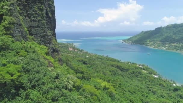 飞行靠近陡峭的山坡 俯瞰宁静的海湾在阳光明媚的莫雷亚 壮观的异国情调的自然和森林包围着在无尽的太平洋上的一个偏远岛屿的海岸上的村庄 — 图库视频影像