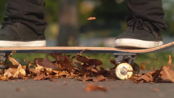 Slow Motion Macro Dof Des Feuilles Brunes Orange Volent Dans — Video